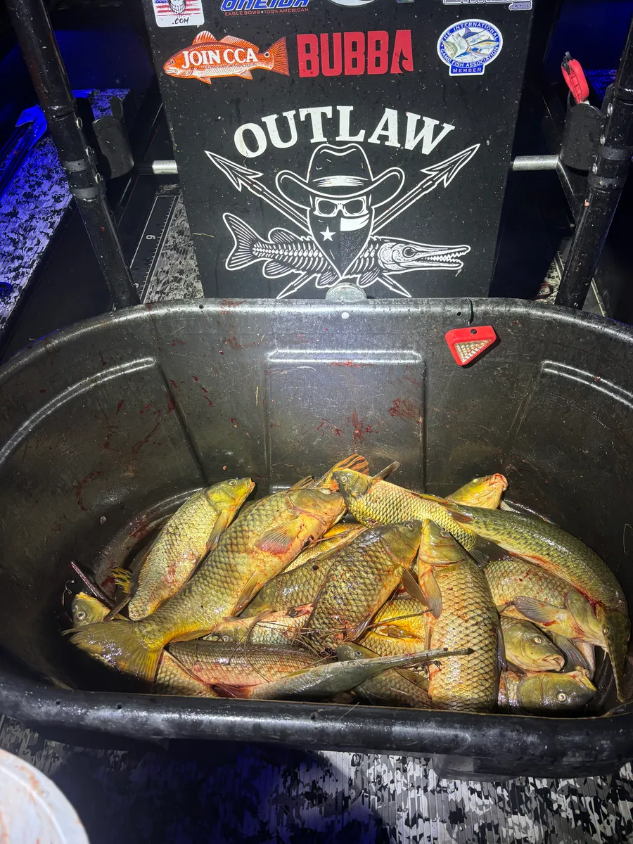 Outlaw Bowfishing bowfishing photo
