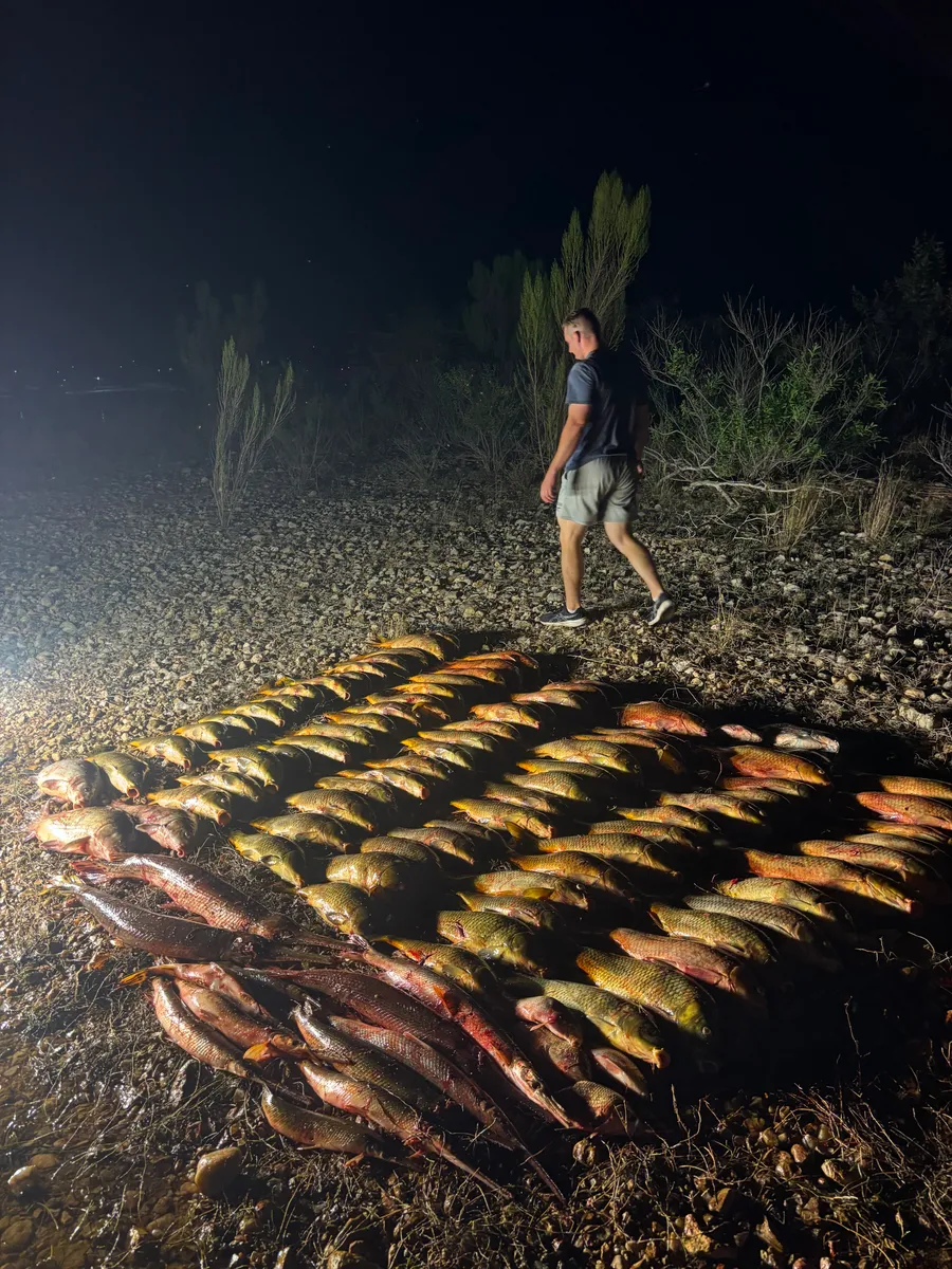 Outlaw Bowfishing bowfishing photo