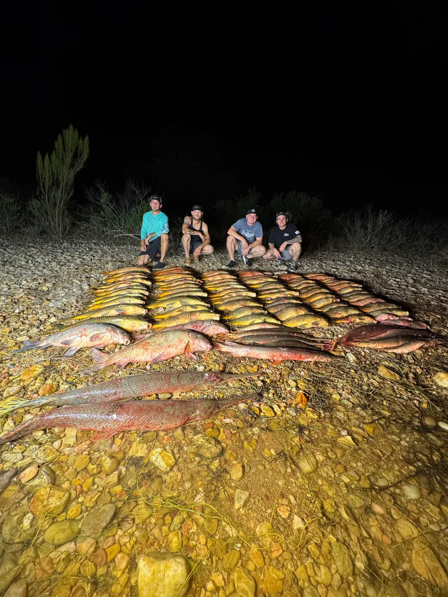 Outlaw Bowfishing bowfishing photo