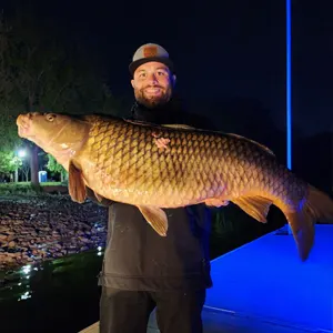 Full Draw Bowfishing bowfishing photo