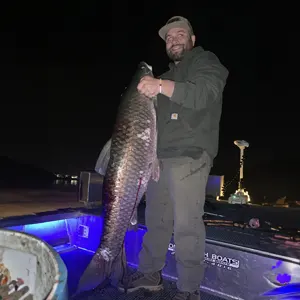 Full Draw Bowfishing bowfishing photo