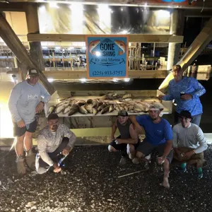 Marsh Assassins Bowfishing bowfishing photo