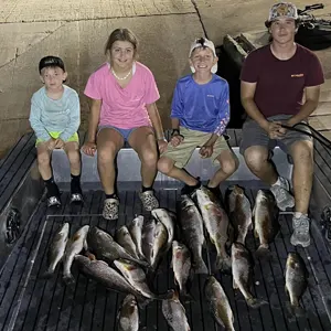 Marsh Assassins Bowfishing bowfishing photo