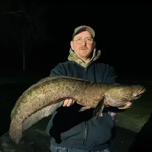Double C Charters bowfishing photo