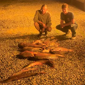 Double C Charters bowfishing photo