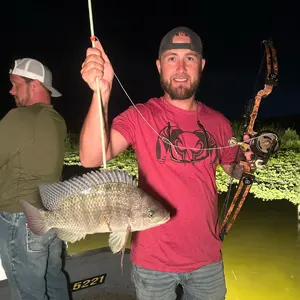Midnight Xpress Bowfishing bowfishing photo