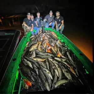 Working Class Outdoorsmen bowfishing photo