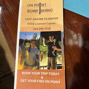 On Point Bowfishing bowfishing photo