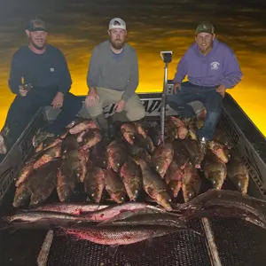 Renegade Bowfishing bowfishing photo