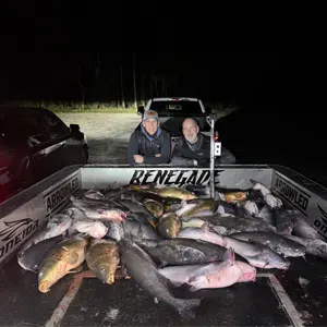 Renegade Bowfishing bowfishing photo