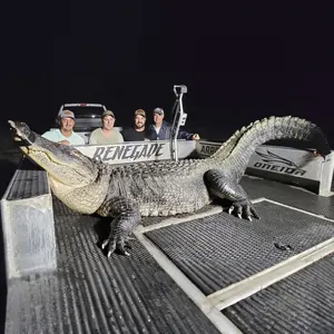 Renegade Bowfishing bowfishing photo