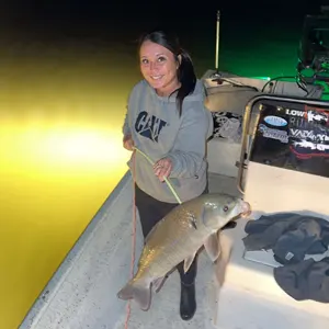 JB's Bowfishing Guide Services bowfishing photo
