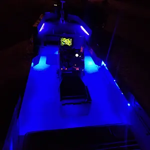 Afterhours Bowfishing bowfishing photo