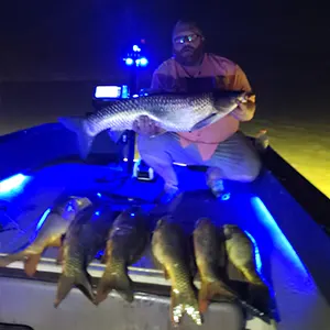 Afterhours Bowfishing bowfishing photo