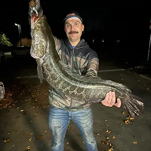 AT Fishing Charters bowfishing photo