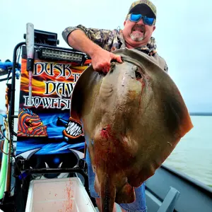 Dusk to Dawn Bowfishing bowfishing photo