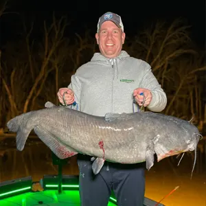Dusk to Dawn Bowfishing bowfishing photo
