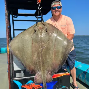 Dusk to Dawn Bowfishing bowfishing photo