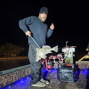 Night Train Bowfishing Charters bowfishing photo
