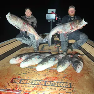 The Obsession Outdoors Bowfishing bowfishing photo