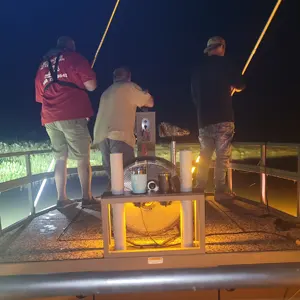 Making Memories Fishing Charters bowfishing photo
