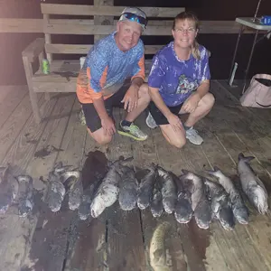 Making Memories Fishing Charters bowfishing photo