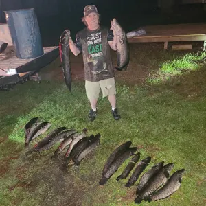 Making Memories Fishing Charters bowfishing photo