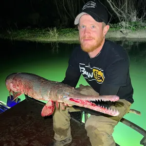 Broken Nock Bowfishing Charter bowfishing photo