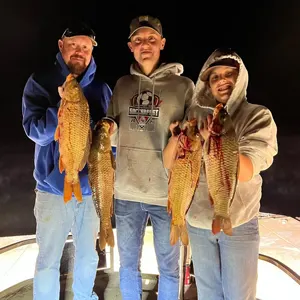 Broken Nock Bowfishing Charter bowfishing photo
