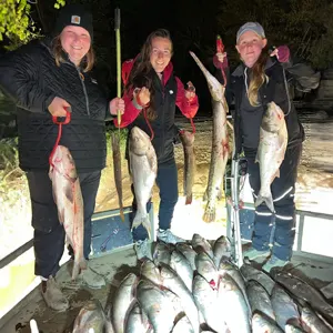 Broken Nock Bowfishing Charter bowfishing photo