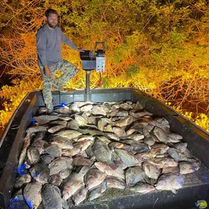 Florida premier Bowfishing bowfishing photo