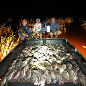 Florida premier Bowfishing bowfishing photo