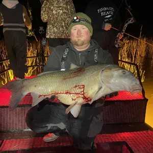 Bust’N Scales Bowfishing bowfishing photo