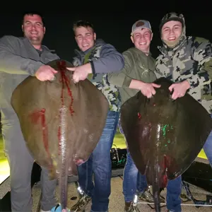 Bowfish St. Pete bowfishing photo