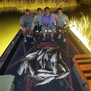 Bayou Bowfishing bowfishing photo