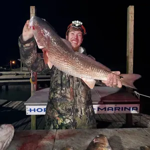 Bayou Bowfishing bowfishing photo
