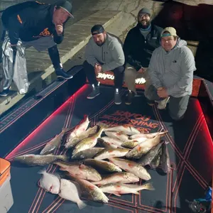 Bayou Bowfishing bowfishing photo