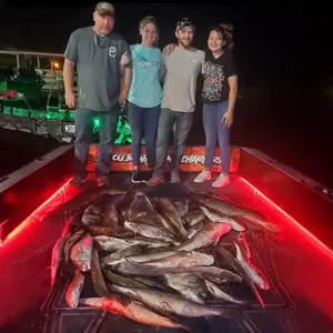 Bayou Bowfishing bowfishing photo