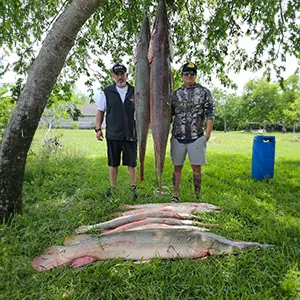 Big Fish Bowfishing Texas bowfishing photo
