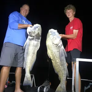 Lite the Nite Charters bowfishing photo