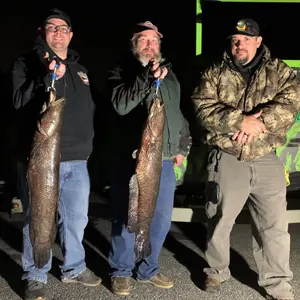 Southern Maryland Bowfishing bowfishing photo