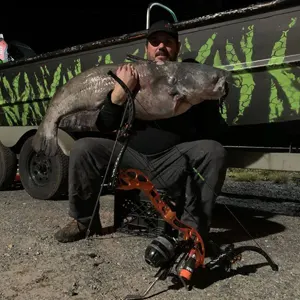 Southern Maryland Bowfishing bowfishing photo