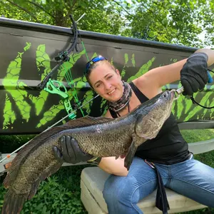 Southern Maryland Bowfishing bowfishing photo