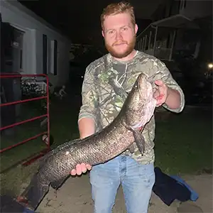 Finnfeather Chesapeake bowfishing photo