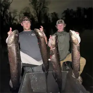 Finnfeather Chesapeake bowfishing photo