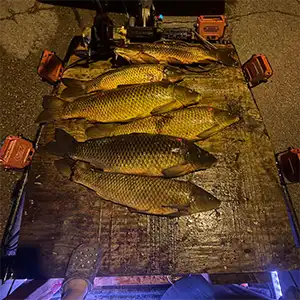 Halligan Outdoors Guide Service bowfishing photo