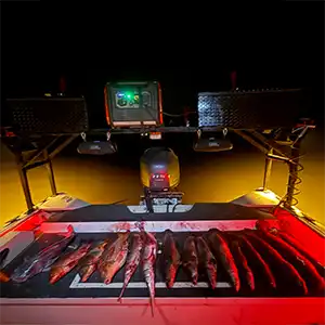 Red Line Outfitters bowfishing photo
