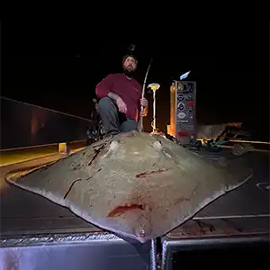 Stickin Phatties Bowfishing bowfishing photo