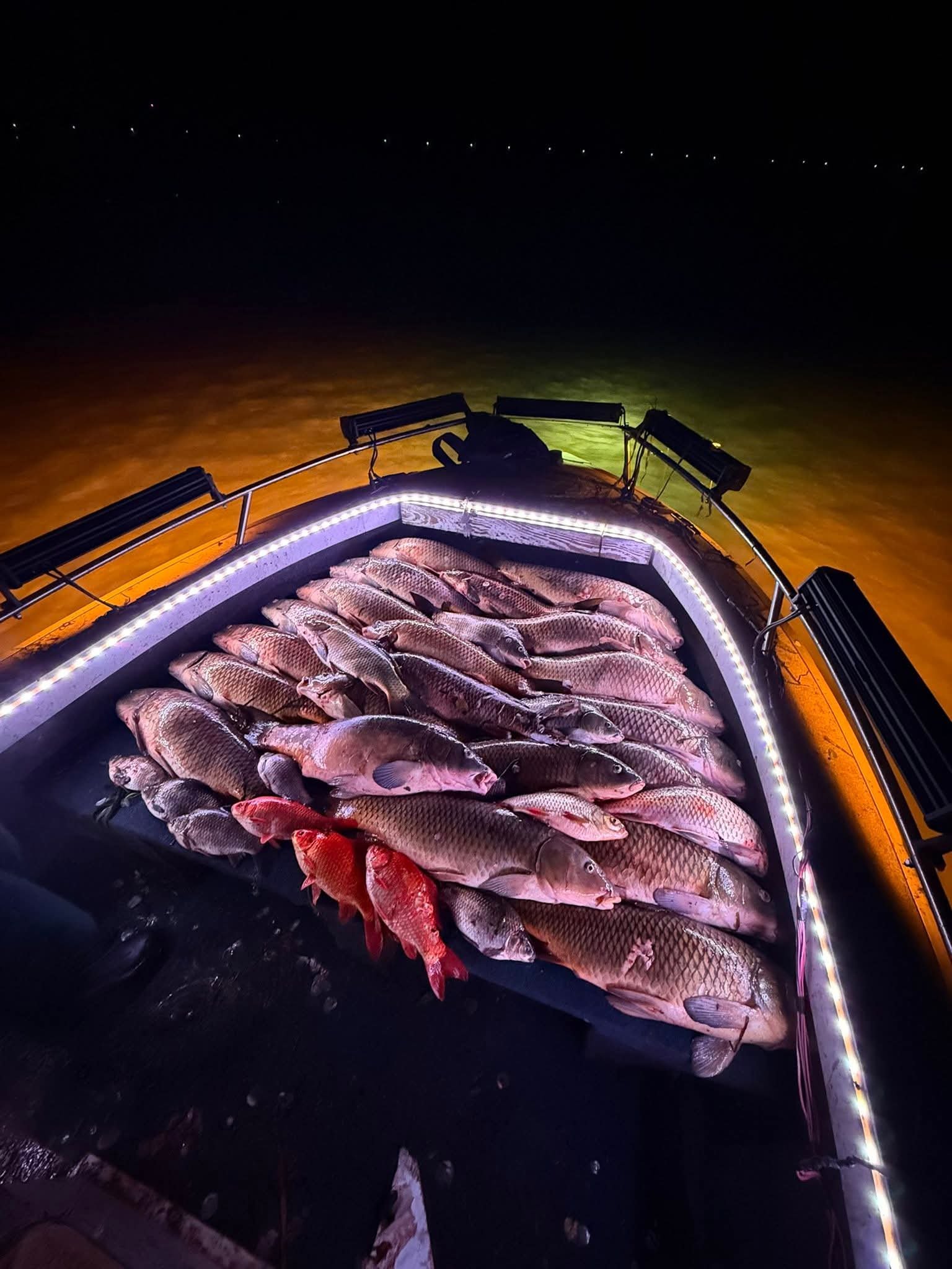 Knock'd Dead Outdoors  bowfishing photo