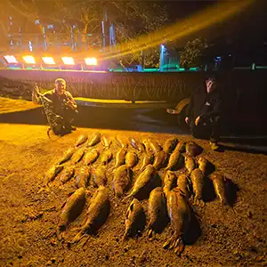 Central Minnesota Bowfishing Guide Service bowfishing photo